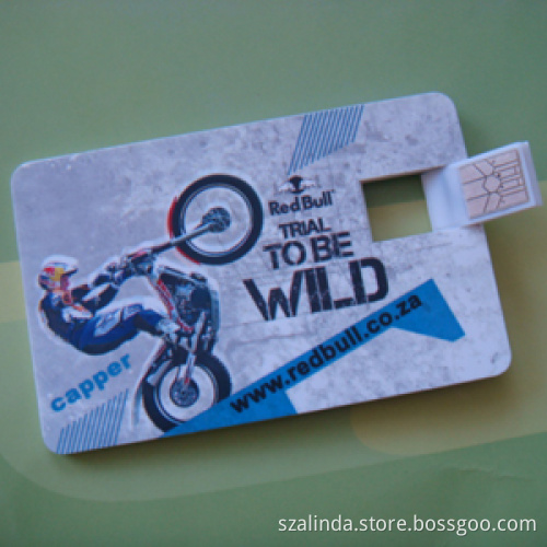 Russia Putin ID Card usb flash driver